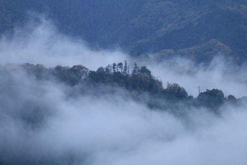 ml_fog.jpg